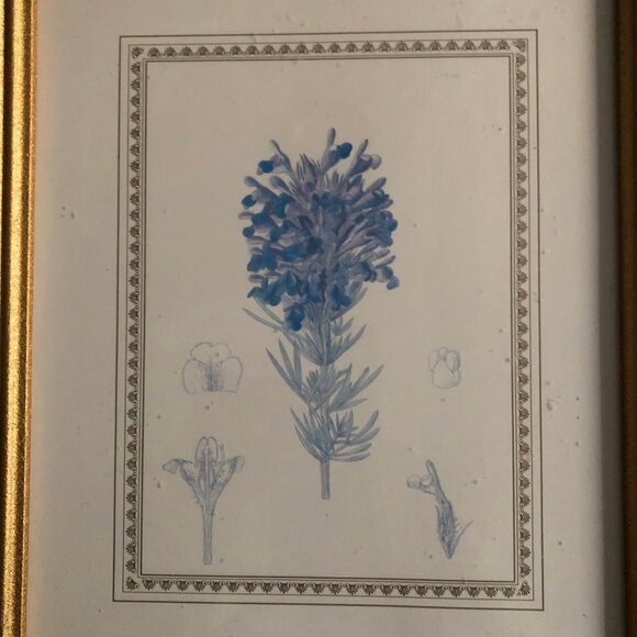Two wall decor with flowers art prints and nice frames home decoration - Picture 6 of 9